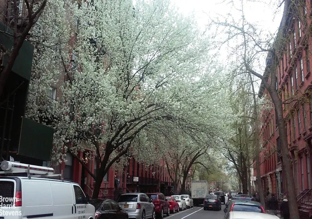 6th image of 103 E 10th St #3C, New York City, NY 10003 | MLS# RLS20055301