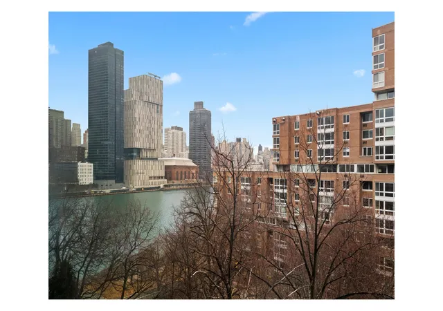 3rd image of 595 Main St, New York City, NY 10044