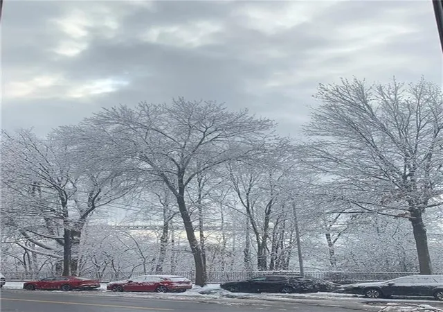 3rd image of The Normandy, New York City, NY 11209