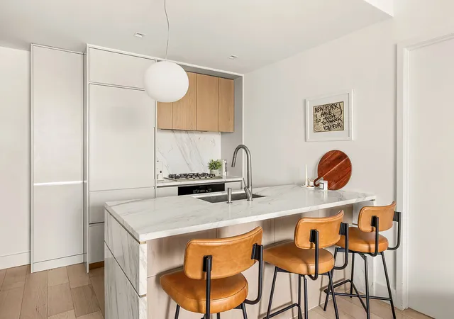 2nd image of 208 Delancey St #7/B, New York City, NY 10002 | MLS# RLS20068142