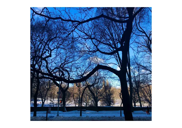 13th image of 923 5th Ave #2C, New York City, NY 10021 | MLS# RLS20075030