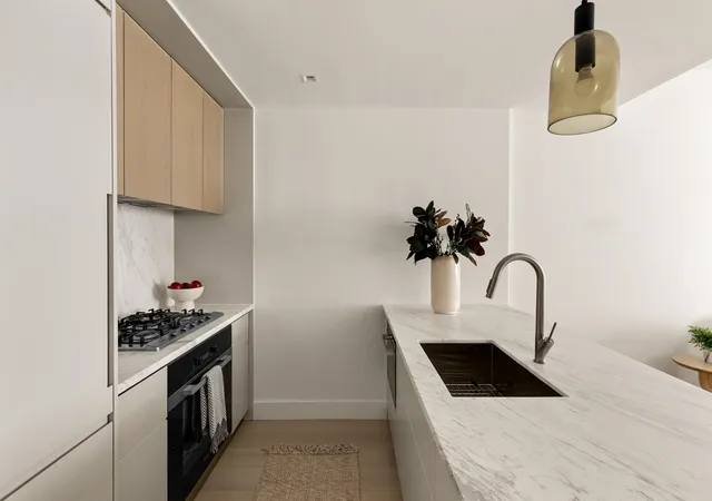 3rd image of 208 Delancey St #2D, New York City, NY 10002 | MLS# RLS20079710