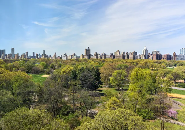 4th image of 1212 5Th Ave #15N, New York, NY 10029 | MLS# RLS20098583