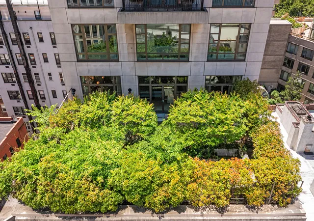46th image of 43 W 64th St #PH10B, New York, NY 10023 | MLS# RLS20099128