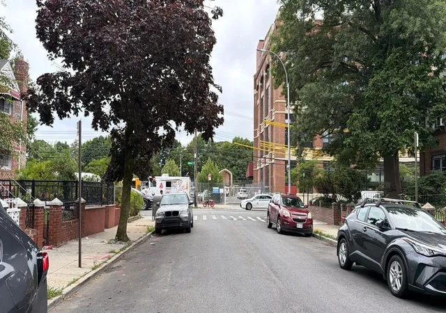 4th image of 264 E 86th St, Brooklyn, NY 11236 | MLS# RLS20102626