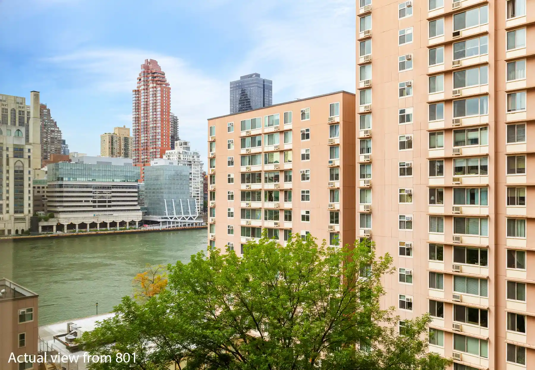 Photo 1 of Condo for sale at 555 Main St #801, New York City, NY 10044 | MLS# RLS20112785 | Listing updated on 2026-10-31