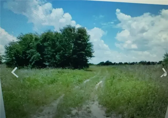 Homes for sale in Lake City, FL | Lot D6 Palm Cir, Lake City, FL 32024 | MLS# F10306273