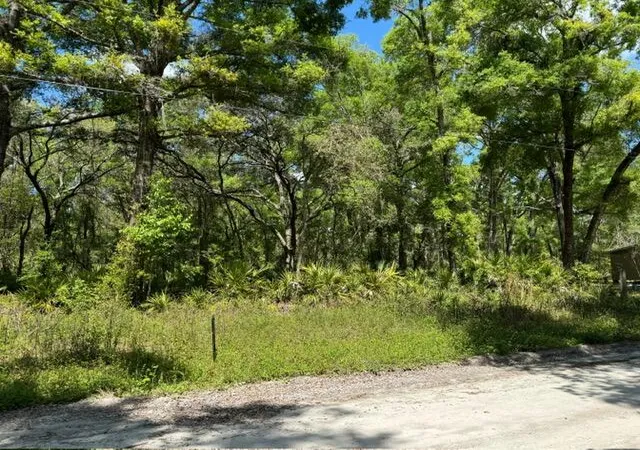 Homes for sale in Old Town, FL | Tbd Ne 472nd Ave, Old Town, FL 32680 | MLS# R10974244
