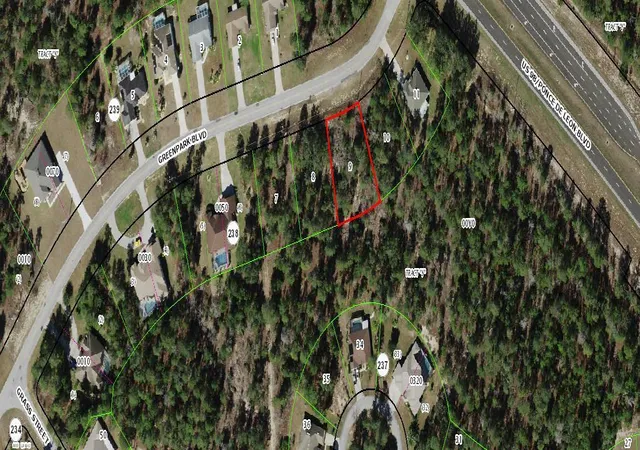 Homes for sale in Homosassa, FL | 5 Greenpark Blvd, Homosassa, FL 34446 | MLS# R10986375