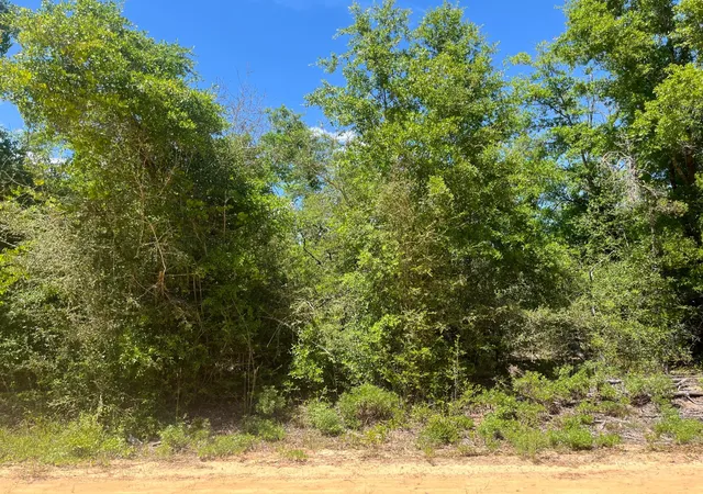 Homes for sale in Alford, FL | 0 Hocking St, Alford, FL 32420 | MLS# R10989320