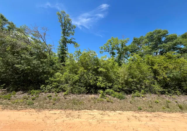 Homes for sale in Alford, FL | 0 Hocking St, Alford, FL 32420 | MLS# R10989320