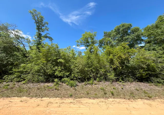 Homes for sale in Alford, FL | 0 Hocking St, Alford, FL 32420 | MLS# R10989320