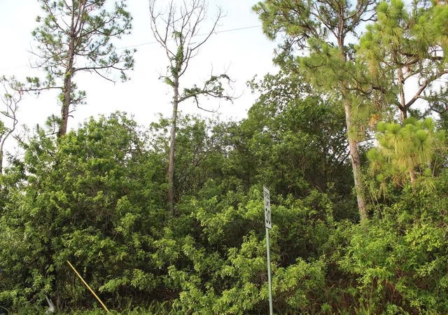 18th image of ''17992'' 94th St N, Loxahatchee, FL 33470 | MLS# R11062029