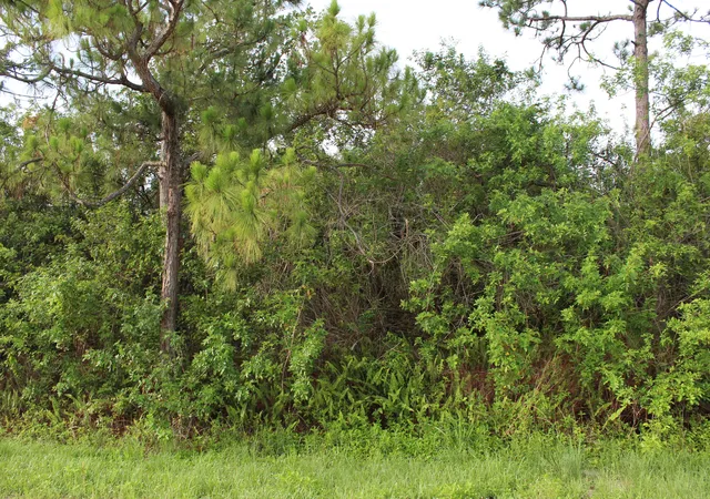 1st image of ''17992'' 94th St N, Loxahatchee, FL 33470 | MLS# R11062029