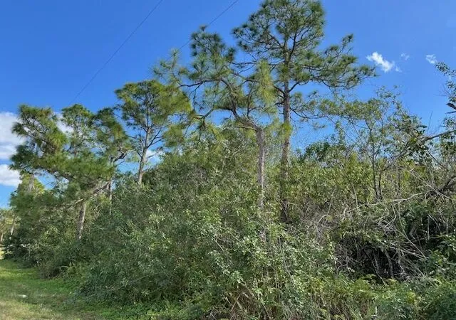 4th image of ''17992'' 94Th St N, Loxahatchee, FL 33470 | MLS# R11062029