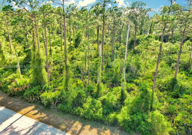 Photo 1 of Land for sale at 2019 Columbus Ave, Alva, FL 33920 | MLS# A11780468 | Listing updated on 2026-09-30