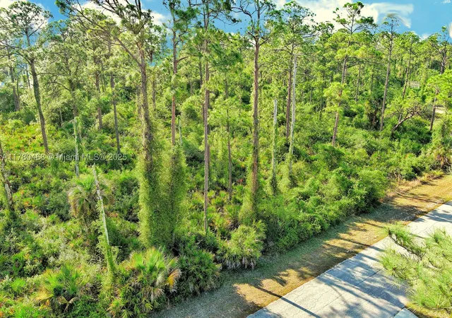 Photo 2 of Land for sale at 2019 Columbus Ave, Alva, FL 33920 | MLS# A11780468 | Listing updated on 2026-09-30