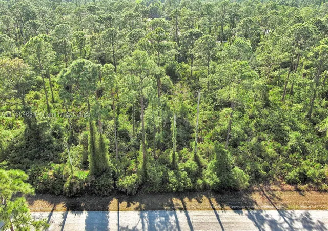 Photo 3 of Land for sale at 2019 Columbus Ave, Alva, FL 33920 | MLS# A11780468 | Listing updated on 2026-09-30