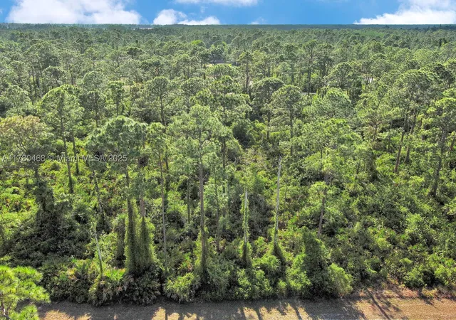 Photo 3 of Land for sale at 2019 Columbus Ave, Alva, FL 33920 | MLS# A11780468 | Listing updated on 2026-09-30