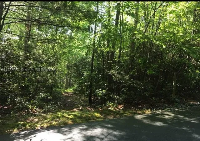 Homes for sale in Sapphire, NC | Lot 66 Juniper Court, Sapphire, NC 28774 | MLS# A11785981