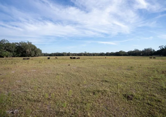 2nd image of 0 Lake Hatcheneha, Haines City, FL 33844 | MLS# F10502534