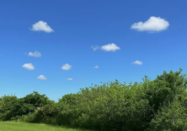 4th image of 6617 Se 26Th Trl, Okeechobee, FL 34974 | MLS# F10507198