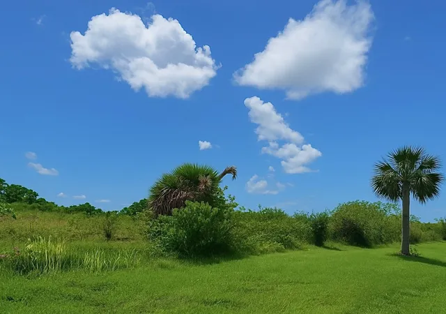 8th image of 6617 Se 26th Trl, Okeechobee, FL 34974 | MLS# F10507198