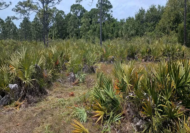 2nd image of 000, Grant Valkaria, FL 32950 | MLS# R11096825