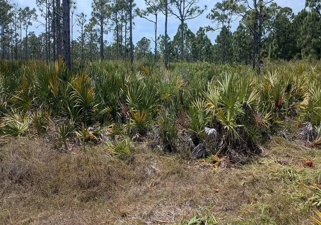 3rd image of --, Grant Valkaria, FL 32950 | MLS# R11096825