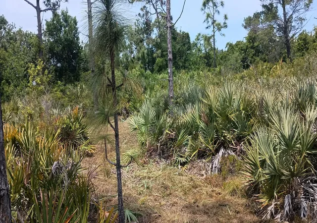 4th image of --, Grant Valkaria, FL 32950 | MLS# R11096825