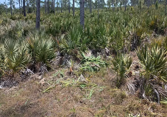 5th image of --, Grant Valkaria, FL 32950 | MLS# R11096825