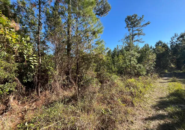 Homes for sale in Satsuma, FL | 223 Mourning Dove Rd, Satsuma, FL 32189 | MLS# R11100424