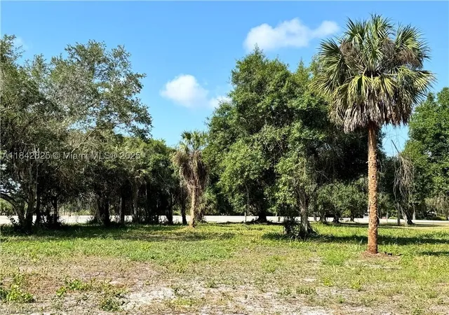 5th image of 0 Magnolia Ave, La Belle, FL 33935 | MLS# A11842825