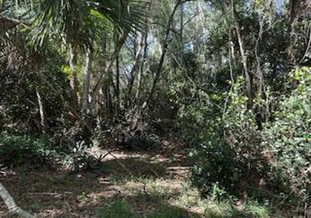 3rd image of 000 129Th Ave N, West Palm Beach, FL 33411 | MLS# R11112581