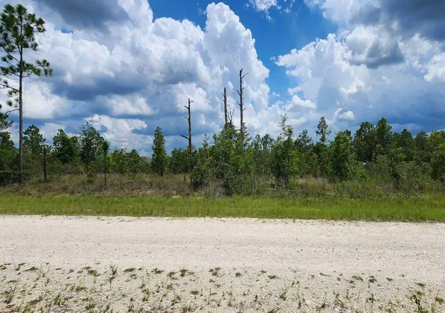 Homes for sale in ,, FL | Scissorbill Ave, ,, FL 34614 | MLS# R11115889