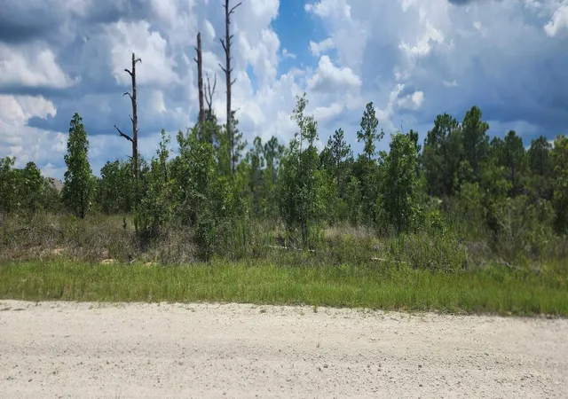 Homes for sale in ,, FL | Scissorbill Ave, ,, FL 34614 | MLS# R11115889