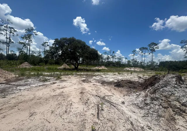 5th image of 32801 Hwy 441, Okeechobee, FL 34972 | MLS# F10523419