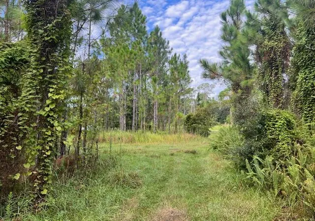 2nd image of 1137 Greenfield St, Lake Placid, FL 33852 | MLS# R11118567