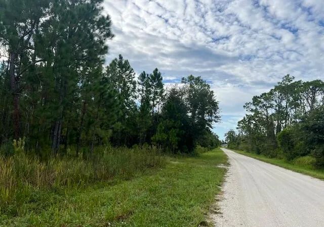 4th image of 1137 Greenfield St, Lake Placid, FL 33852 | MLS# R11118567