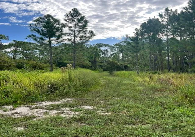 5th image of 1137 Greenfield St, Lake Placid, FL 33852 | MLS# R11118567