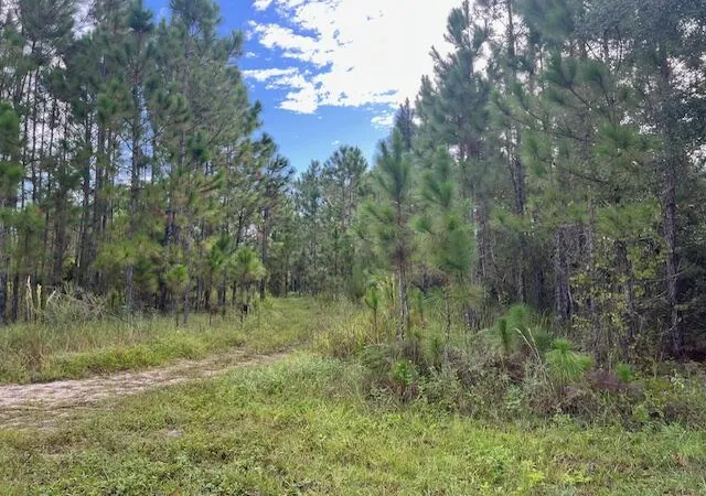 2nd image of 1135 Greenfield St, Lake Placid, FL 33852 | MLS# R11118564