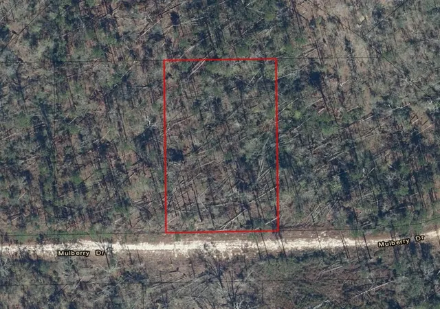 Homes for sale in Marianna, FL | 0 Mulberry Dr, Marianna, FL 32448 | MLS# F10522956