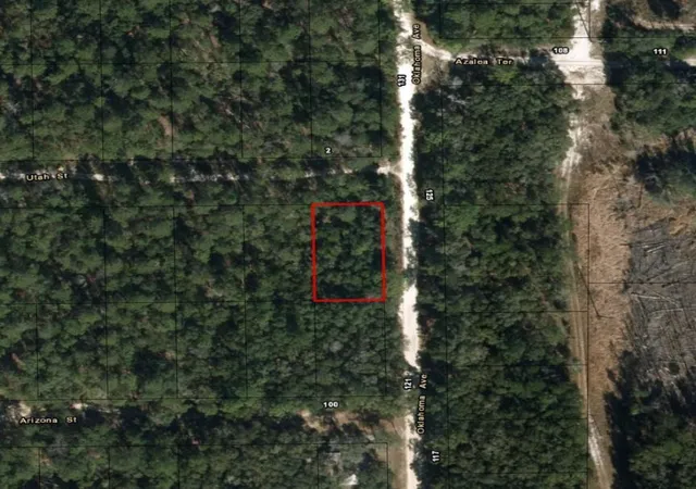 Homes for sale in Satsuma, FL | 0 Oklahoma Ave, Satsuma, FL 32189 | MLS# F10525472