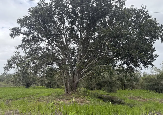 16th image of 17915 Nw 290th St, Okeechobee, FL 34972 | MLS# R11125216