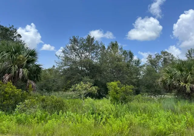 2nd image of 17915 Nw 290th St, Okeechobee, FL 34972 | MLS# R11125216