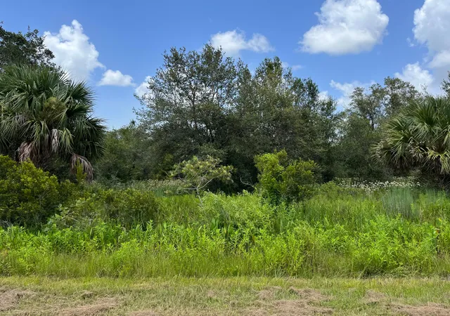 3rd image of 17915 Nw 290Th St, Okeechobee, FL 34972 | MLS# R11125216