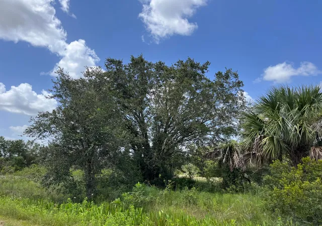 5th image of 17915 Nw 290Th St, Okeechobee, FL 34972 | MLS# R11125216