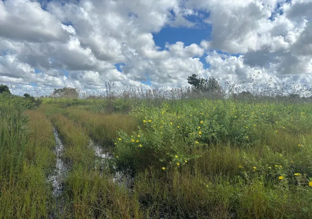 1st image of 0 Nw 316th St, Okeechobee, FL 34972 | MLS# F10529940