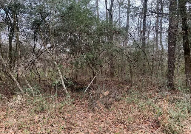 2nd image of 0 Griffin Cir, Westville, FL 32464 | MLS# F10530318