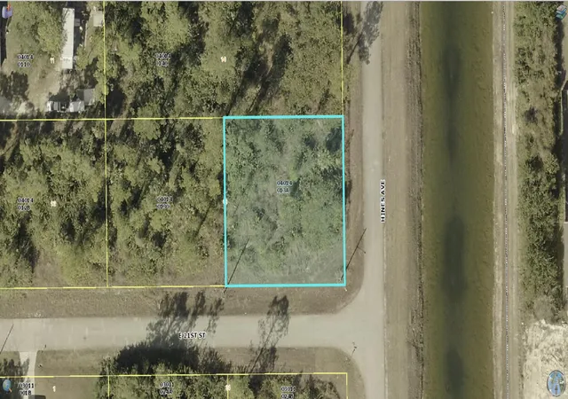 Homes for sale in Alva, FL | 4507 E 21st St, Alva, FL 33920 | MLS# R11130070